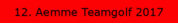 12. Aemme Teamgolf 2017